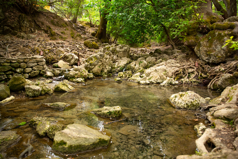 rodi cascate